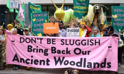 Campaigners dressed as slugs outside Defra holding a banner saying Don't Be Sluggish Bring Back Our Ancient Woodlands