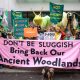 Campaigners dressed as slugs outside Defra holding a banner saying Don't Be Sluggish Bring Back Our Ancient Woodlands