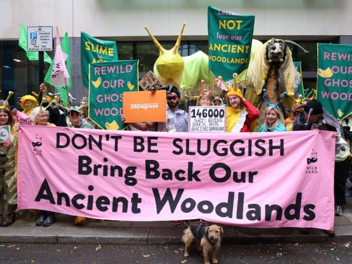 Campaigners dressed as slugs outside Defra holding a banner saying Don't Be Sluggish Bring Back Our Ancient Woodlands