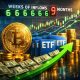Crypto Breaking News