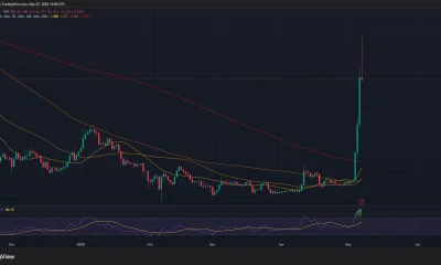 Toncoin price and RSI chart.