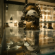 colonial artefacts pilfered by Brits return home to Ethiopia