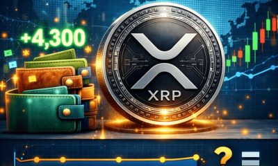 Crypto Breaking News