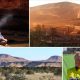 Fortescue offers to pay Yindjibarndi $150m 'tomorrow'