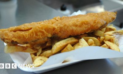 Chip shops sell cheap catfish as 'traditional fish and chips'