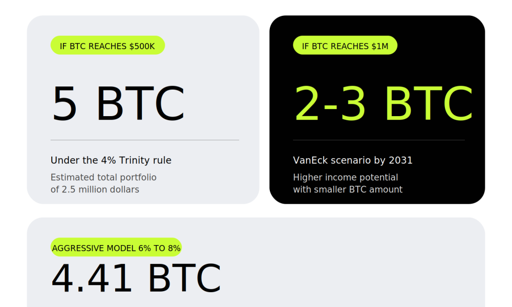Retiring With Bitcoin by 2030: Hoax or Real Financial Strategy?