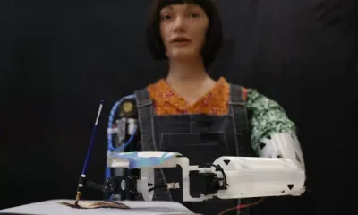 Subcultural hegemony: AI in education and the arts