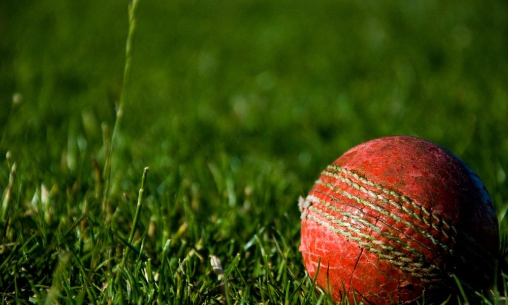 Ungar appointed WA Cricket Foundation chair