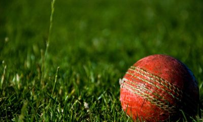 Ungar appointed WA Cricket Foundation chair
