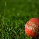Ungar appointed WA Cricket Foundation chair