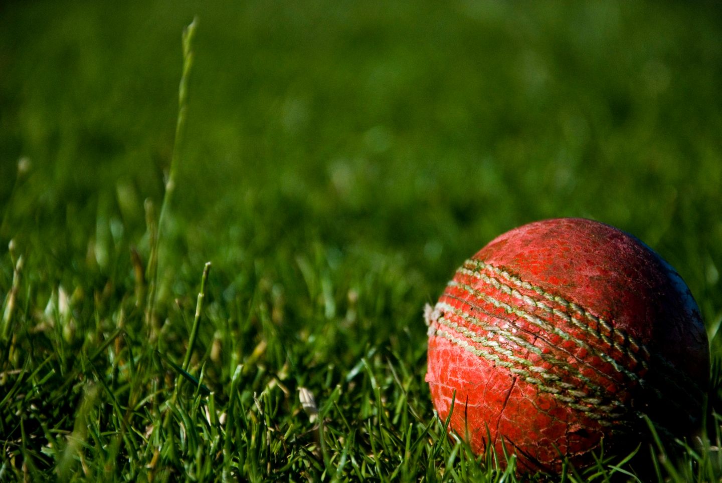 Ungar appointed WA Cricket Foundation chair