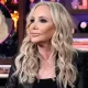 Animal Control Is Getting Involved in RHOC’s Shannon Beador DUI Hit-and-Run Incident