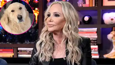 Animal Control Is Getting Involved in RHOC’s Shannon Beador DUI Hit-and-Run Incident