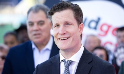 Perth Bears ‘overwhelmed’ by membership response