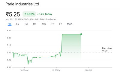 Parle Industries Stock Performance