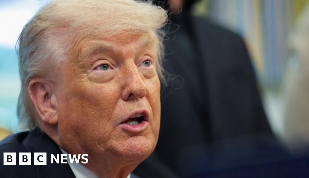 Trump gives 4 July ultimatum to EU to approve trade deal with US