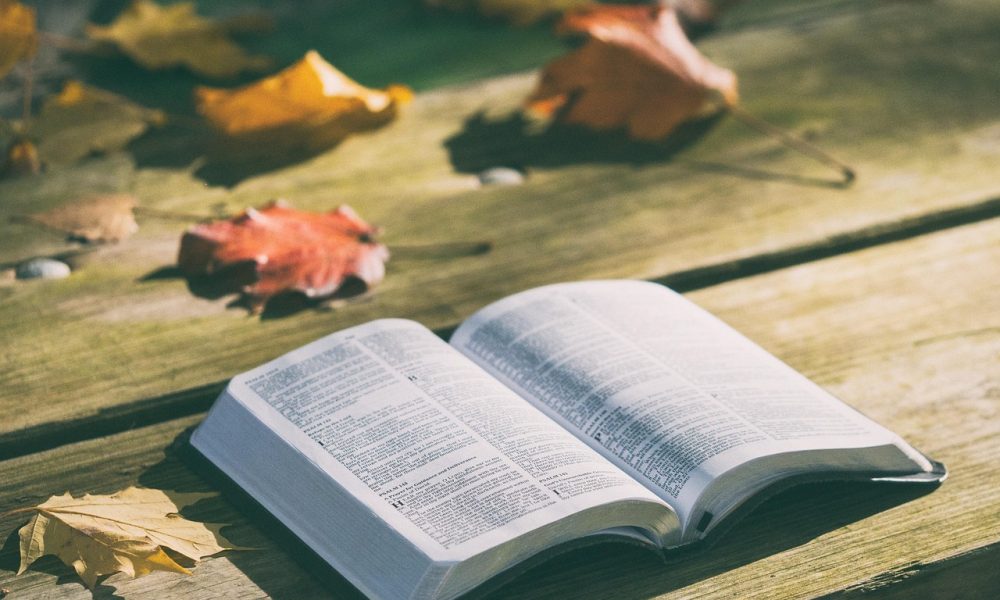 Bible Verse of the Day May 16, 2026: Isaiah 40:31