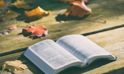 Bible Verse of the Day May 16, 2026: Isaiah 40:31