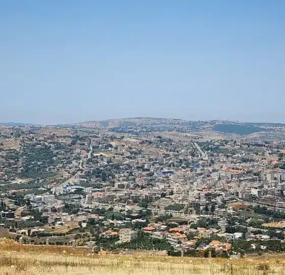The Town That Wouldn’t Die: A View from the Streets of Bint Jbeil