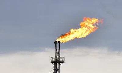 UAE quits OPEC, triggering what experts say could be a full cartel collapse