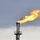 UAE quits OPEC, triggering what experts say could be a full cartel collapse