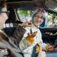 How driving test booking is changing for learner drivers
