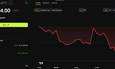 Bitcoin Price Performance.
