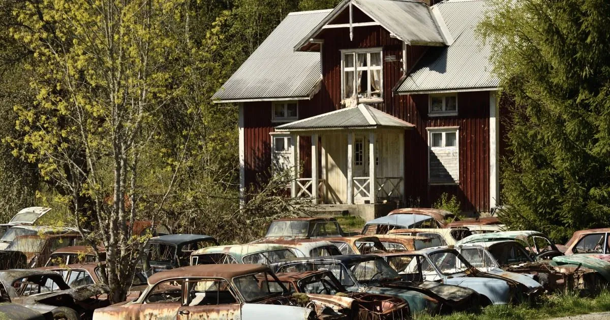 Inside the eerie Swedish forest where hundreds of classic cars were left to rot | News World