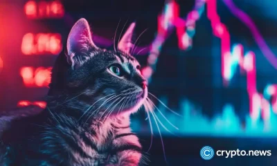 NEAR 50% weekly rally crowns altcoin enters 'holy trinity' trade