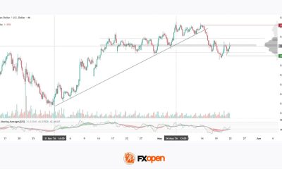 Australian Dollar Loses Momentum After May Peaks