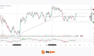 NZD/USD: RBNZ Decision Strengthens Expectations of Further Rate Hikes