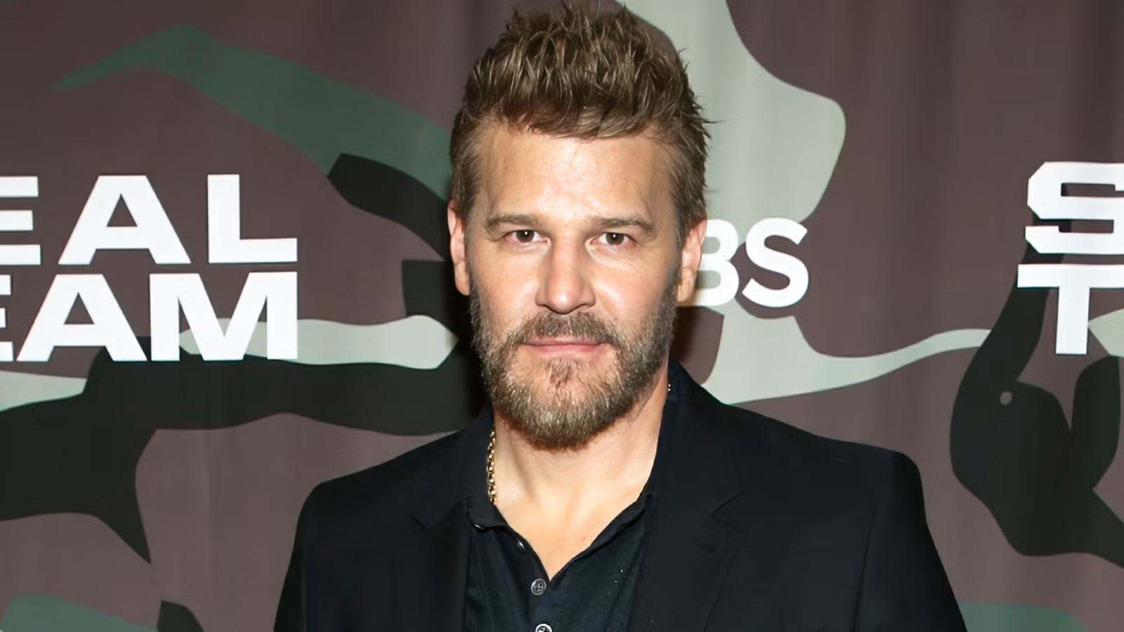 Actor David Boreanaz.