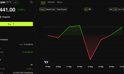 Bitcoin (BTC) Price Performance.
