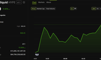 Hyperliquid (HYPE) Price Performance