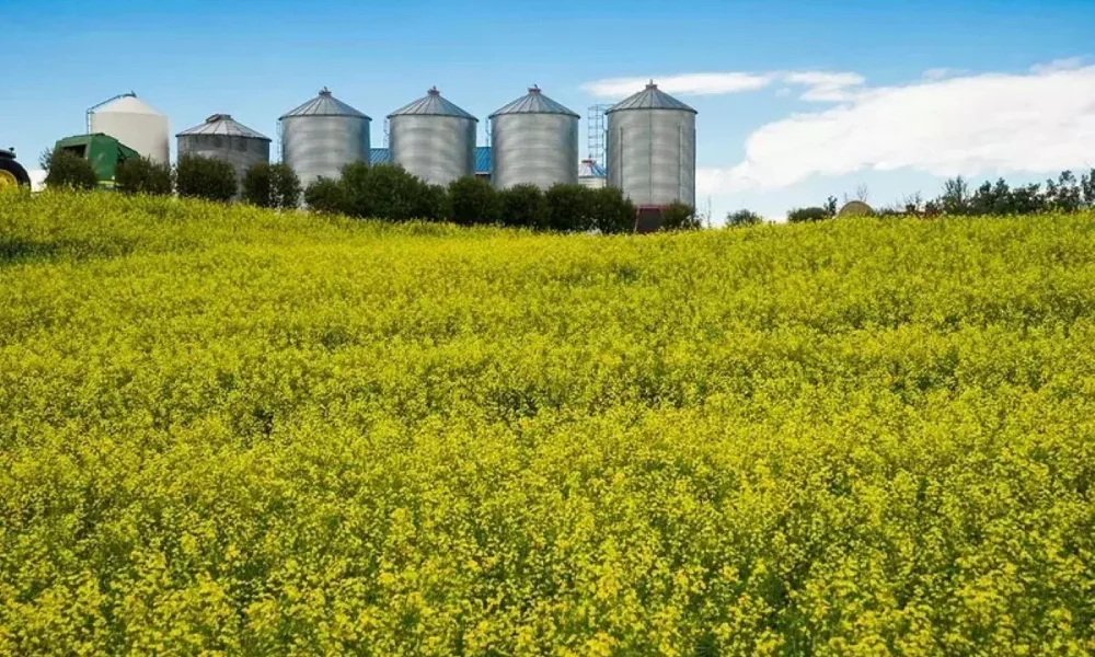 PepsiCo enters regen ag pact with LDC