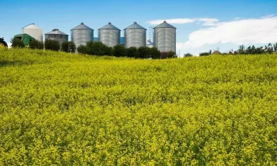 PepsiCo enters regen ag pact with LDC