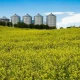 PepsiCo enters regen ag pact with LDC