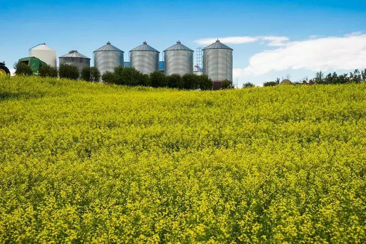 PepsiCo enters regen ag pact with LDC