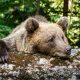 Crypto bears got it wrong again, losing $300 million in liquidations: Crypto Markets Today