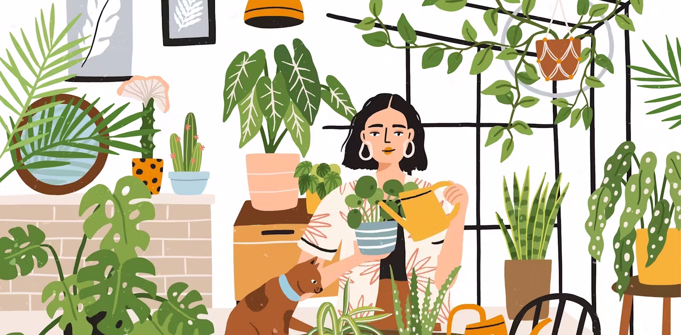 Can houseplants really purify the air in your home?
What the science actually says