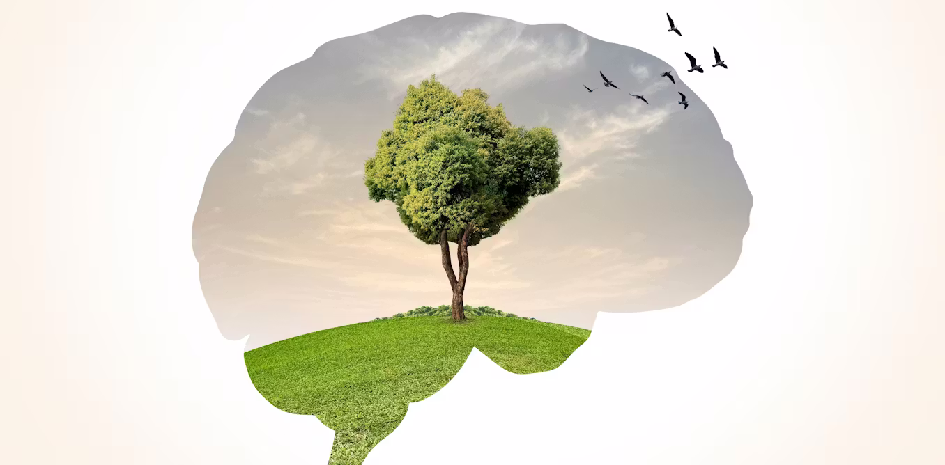 Can plants hear? Latest research offers new insights