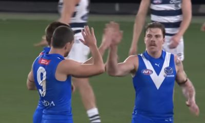 Geelong Cats Dominate North Melbourne in AFL 2026 Round 8