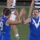 Geelong Cats Dominate North Melbourne in AFL 2026 Round 8
