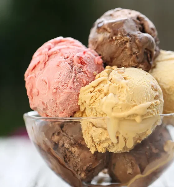 Straus Family Creamery recalls ice cream over possible metal fragments