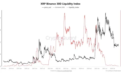 XRP Binance 30D liquidity index, source: CryptoQuant
