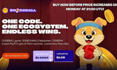 Investor breakdown: DOGEBALL could be the leading crypto presale to buy now - 4