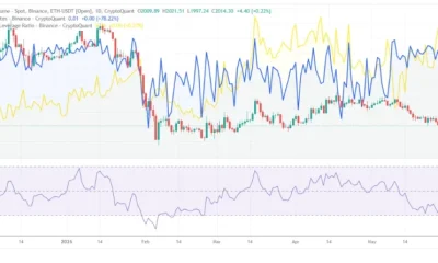 Source: CryptoQuant/PelinayPA