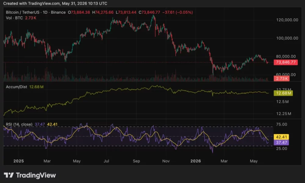 Bitcoin (BTC) price chart, source: crypto.news