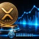 Ripple investors turn to new profit opportunities, with SHRMiner offering returns of up to $57,000 per month - 3
