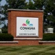 Conagra Brands: This Selloff Has Gone Too Far, I'm Buying (Rating Upgrade)